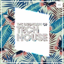 The Definition Of Tech House, Vol. 5