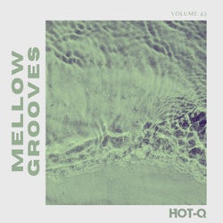 Mellow Grooves 043